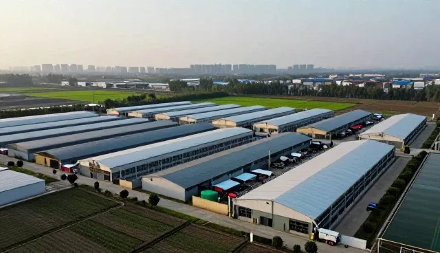 搜索引擎排名在电商运营中的实际应用与挑战